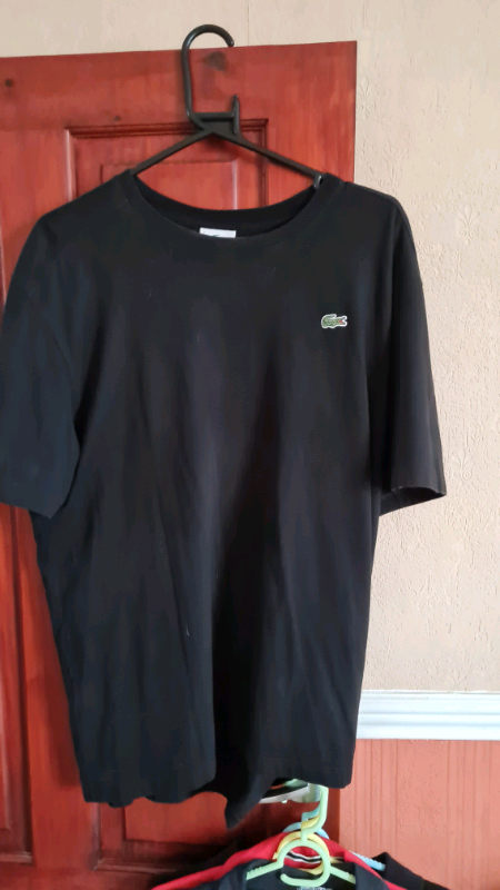 lacoste t shirt size 7